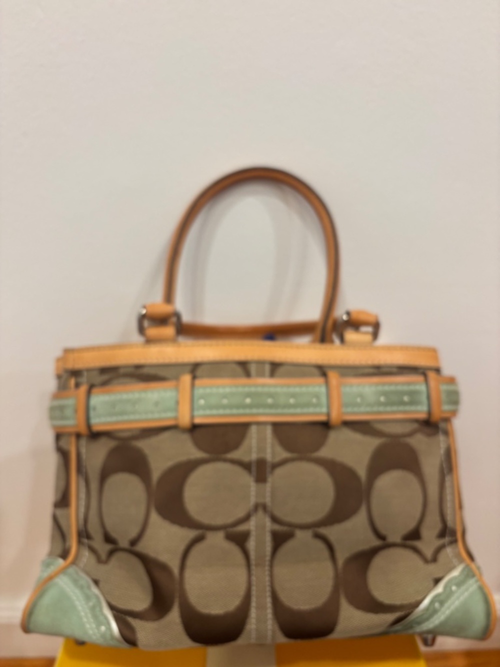 Coach/Limited Coral/Fish Bag/Multi Color - Picture 2 of 8